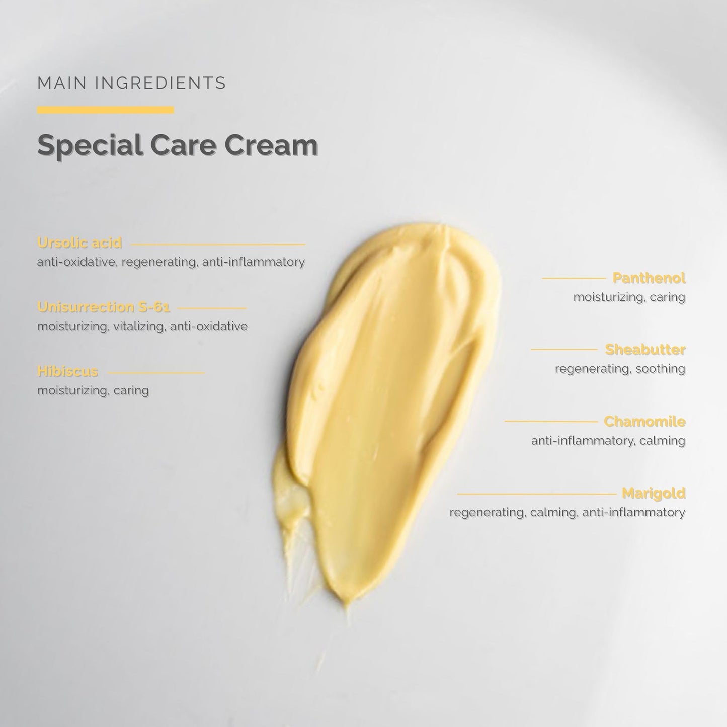 Special Care Cream (1.7 fl oz) - Special Cream for Sensitive & Dry Skin - Scientifically Proven Calming & Regenerating Effect - Face Moisturizer - Skin Care - Dr Schrammek