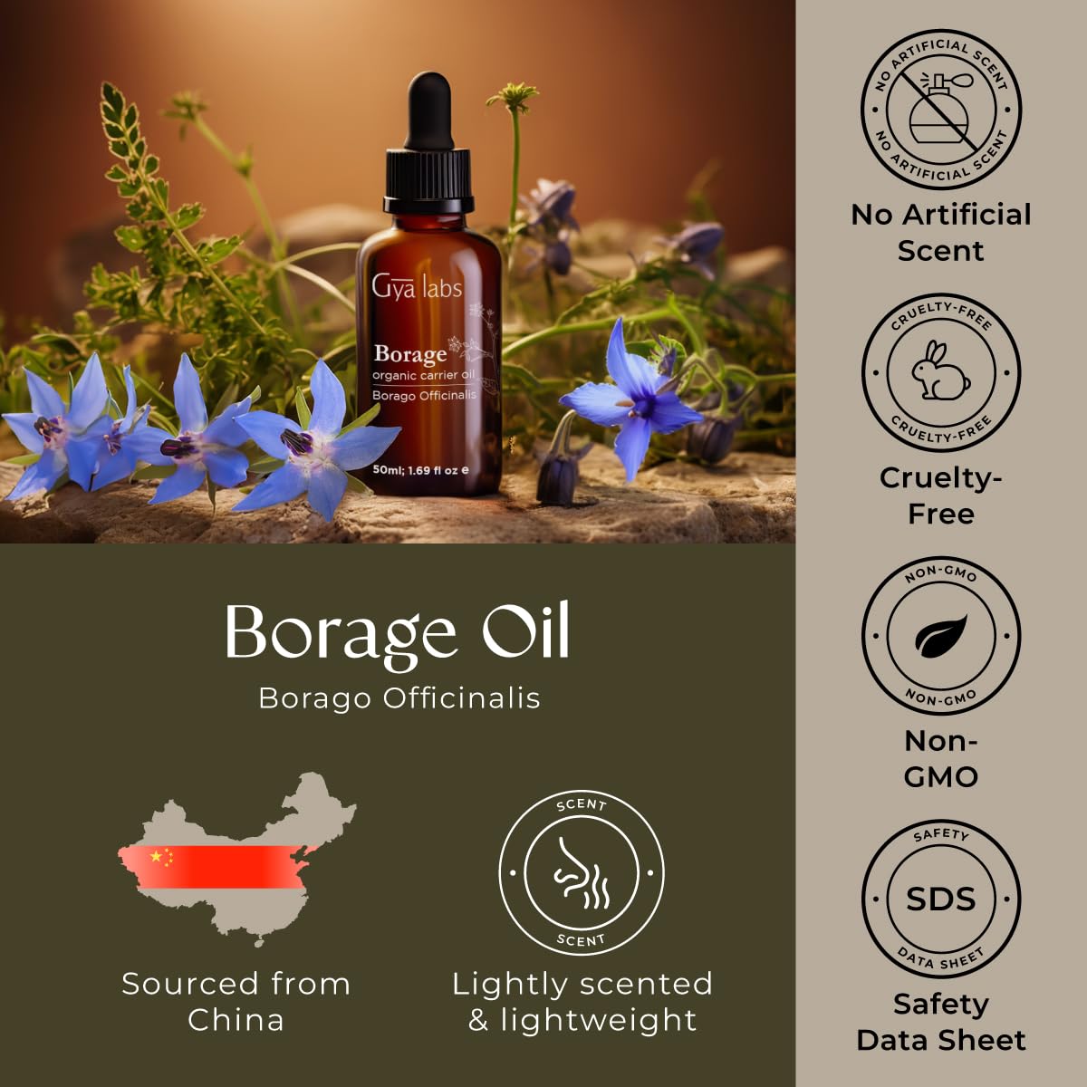 Gya Labs USDA Organic Borage Oil - 1.69 Fl Oz - Carrier Oil for Hair, Skin, Face, Scalp & Body Massage