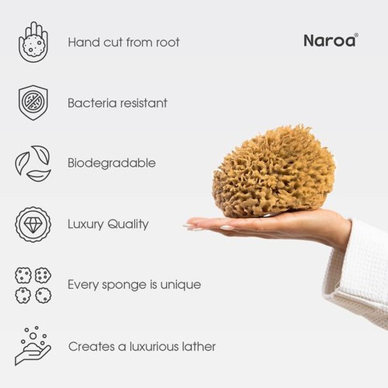 Naroa Soft Natural Sponge | Gentle Sea Sponge for Bathing Healthy Skin | Unbleached Shower Body Scrubber Puff | Eco Friendly Bath Spa Sponge (Soft - X Large)