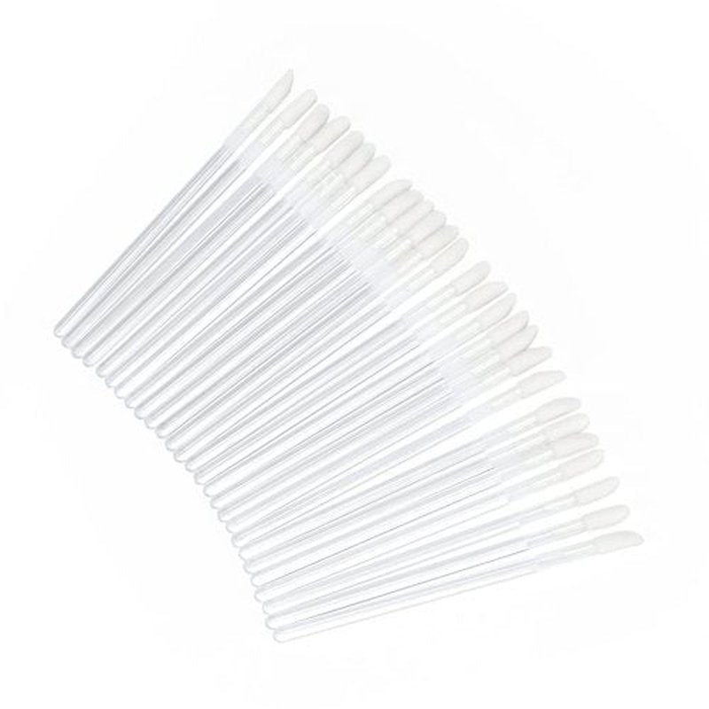 200PCS Lip Gloss Applicators,Disposable Lip Brushes Lipstick Gloss Wands Applicator Perfect Makeup Tool Kits (Transparent)