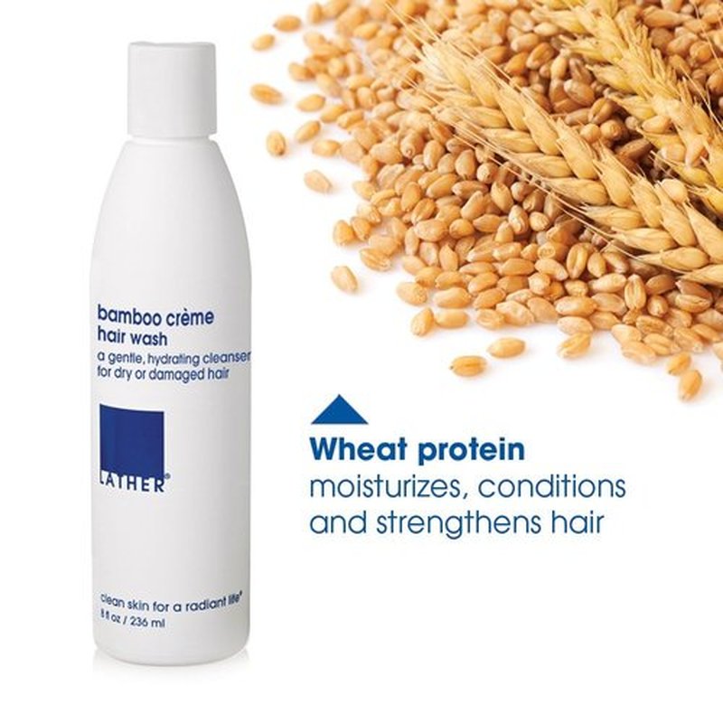 LATHER Bamboo Crème Shampoo - Lightweight & Non-Greasy Hair Wash Formula - Nourishing & Hydrating Shampoo for Dry or Damaged Hair - Sulfate Free - 8 Fl Oz Bottle