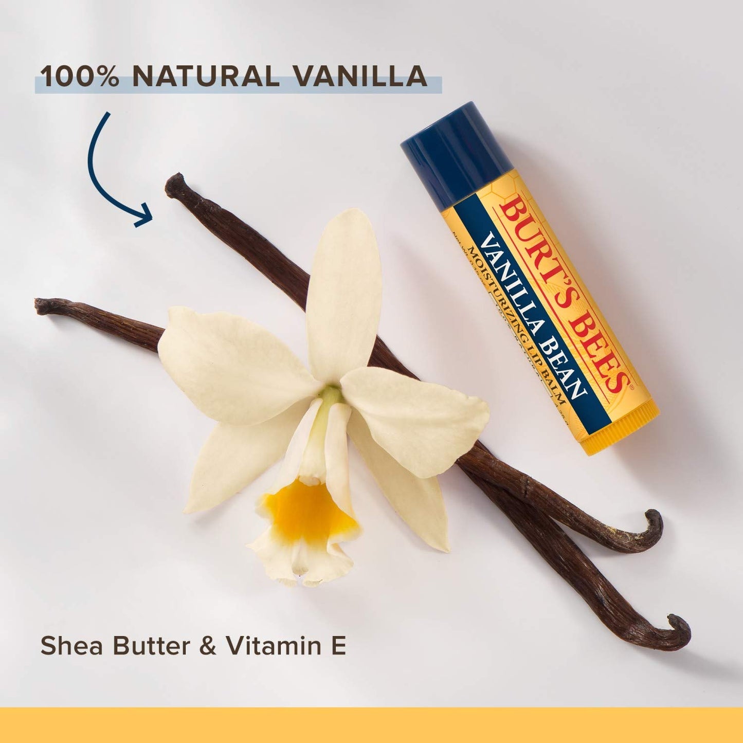 Burt's Bees 100% Natural Moisturizing Lip Balm, Multipack, 6 Tubes