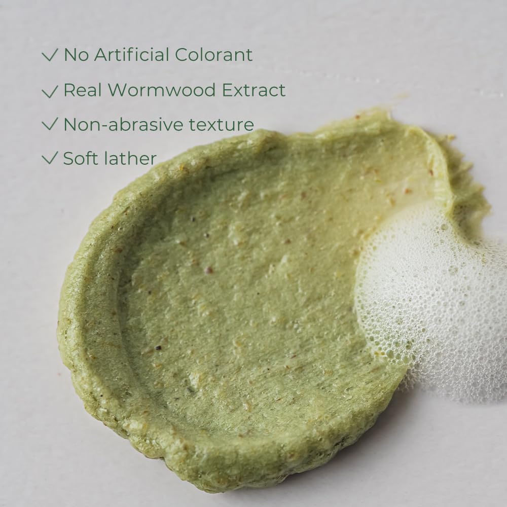 Fraijour Herb Wormwood Cleansing Foam – Korean Micro-Foam Face Wash, Deep Pore Cleanser for Dull, Oily & Acne-Prone Skin, Papaya & Witch Hazel, Gentle Exfoliation, Non-Stripping, 5.07 fl.oz.