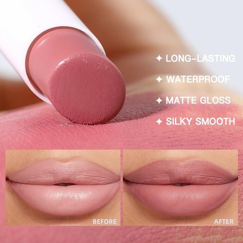 USHAS Lipstick and Lip Liner Combo Set 2 in 1 Waterproof Lipstick for Women Lip liner Set Long Lasting Lipstick, Matte Lipstick Pen with Lip Liner Set Makeup Kits (S17, Pack of 1)