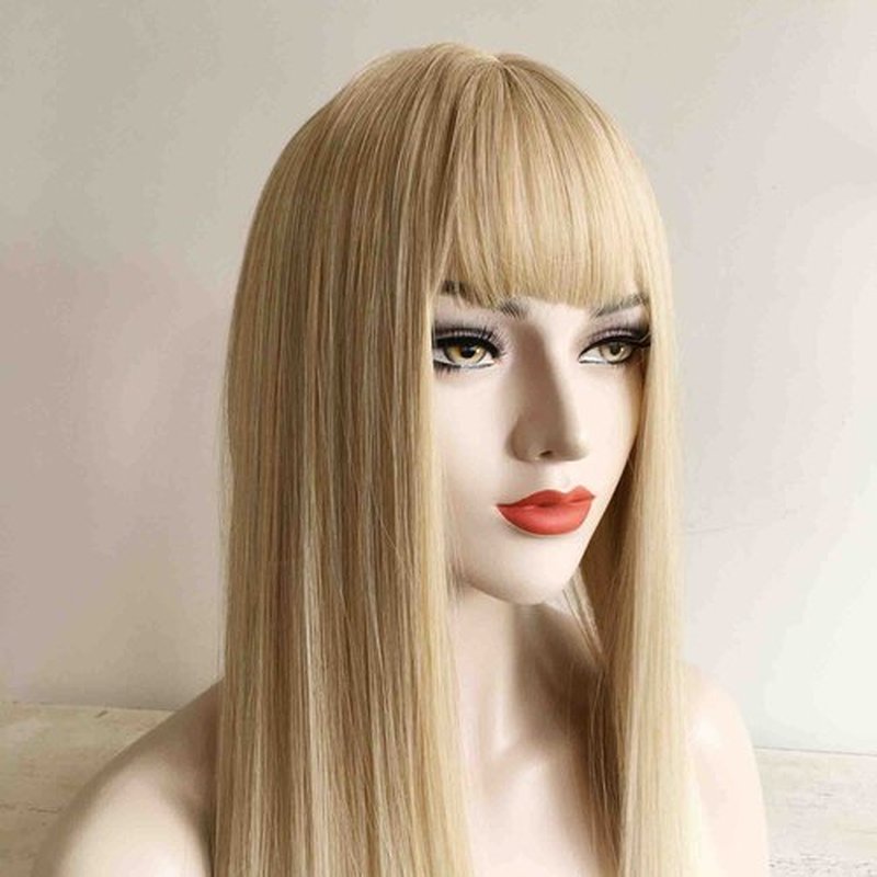 nevermindyrhead Blonde Ombre Long Straight Wig with Fringe Bangs, Heat Resistance Synthetic Wigs for Women 24 Inch
