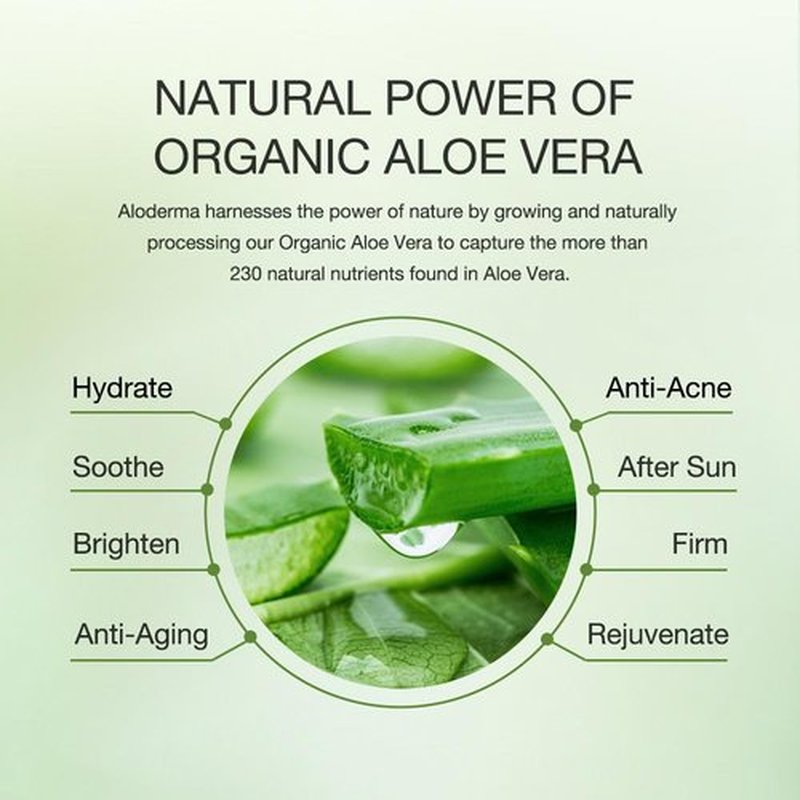 Aloderma Organic Aloe Vera Gel for Face Made within 12 Hours of Harvest, 96% Pure Aloe Vera Gel for Skin, Scalp, & Hair, Soothing Aloe Face Moisturizer, Multipurpose Skin Care, Hydrating Aloe Gel, 7oz