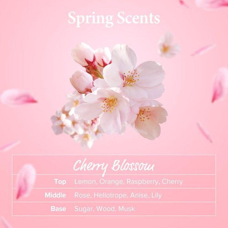 Kundal Ultra Macadamia Oil Hair Serum [Cherry Blossom]- Korean Hair Care Premium Hair Essential Oil, Intense Repair, Deep Nourishment, Frizz Control for All Hair Types 3.38fl oz (Pack of 1)