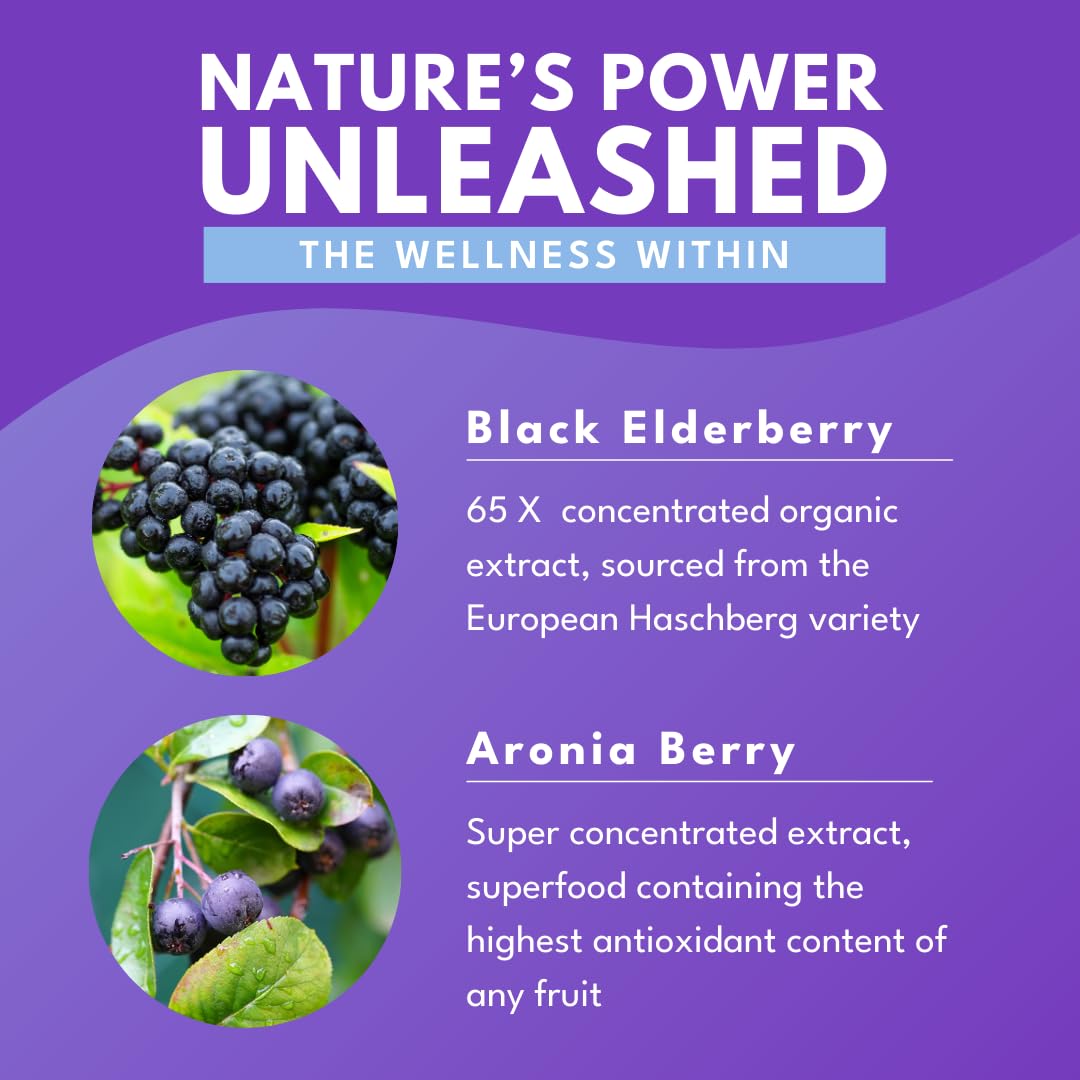 Bold Botanica Elderberry Elixir – 65X Concentrated Extract – Sugar-Free & Kid Friendly – Immune Support Elderberry Syrup for Kids & Adults with Aronia Berry & Monk Fruit – 4 fl oz