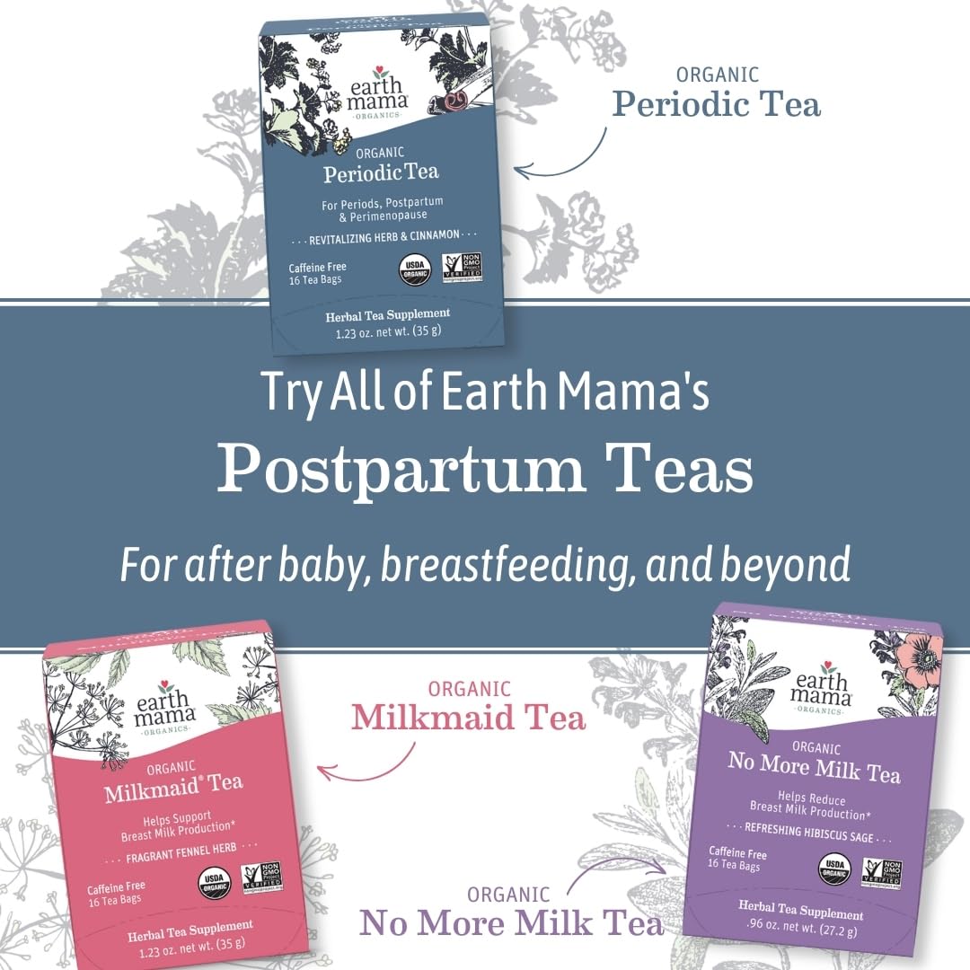 Earth Mama Organic Ginger Nausea™ Tea | Comforts Occasional Nausea + Morning Sickness, 16 Teabags Per Box