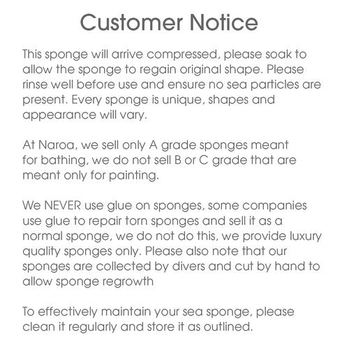 Naroa Soft Natural Sponge | Gentle Sea Sponge for Bathing Healthy Skin | Unbleached Shower Body Scrubber Puff | Eco Friendly Bath Spa Sponge (Soft - Large)