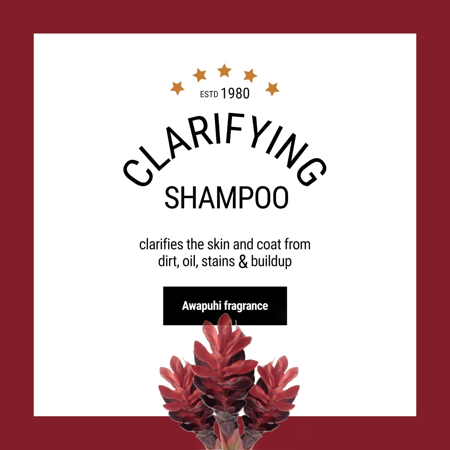 The Coat Handler Clarifying Dog Shampoo, 16 oz - Natural Ingredients, Brightening, Removes Stains and Dirt, Brightens All Coat Colors, Professional Grade Grooming Shampoo, Bulk Concentrated