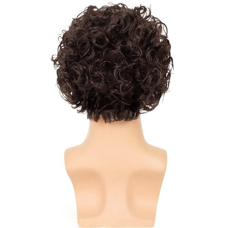 Dsimeig Mens Brown Curly Wig Short Fluffy Rocker Wigs Synthetic Costume Halloween Cosplay Hair Wigs for Male Guys