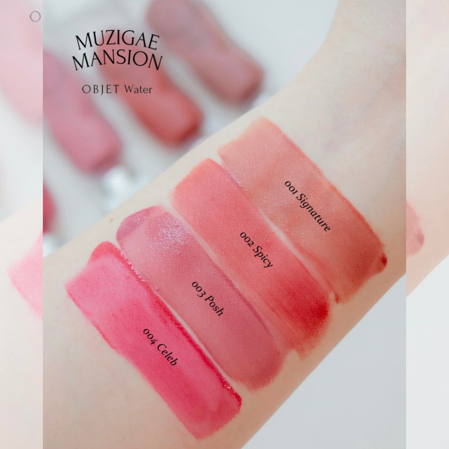MUZIGAE MANSION Objet Water Lip Stain Matte Lipstick – (Watery to Blurry Tint), Long-Lasting, Hydrating, Waterproof Wear – K-Beauty Liquid Lipstick for Women, Bold Red Tinted Gloss (008 PITCH)