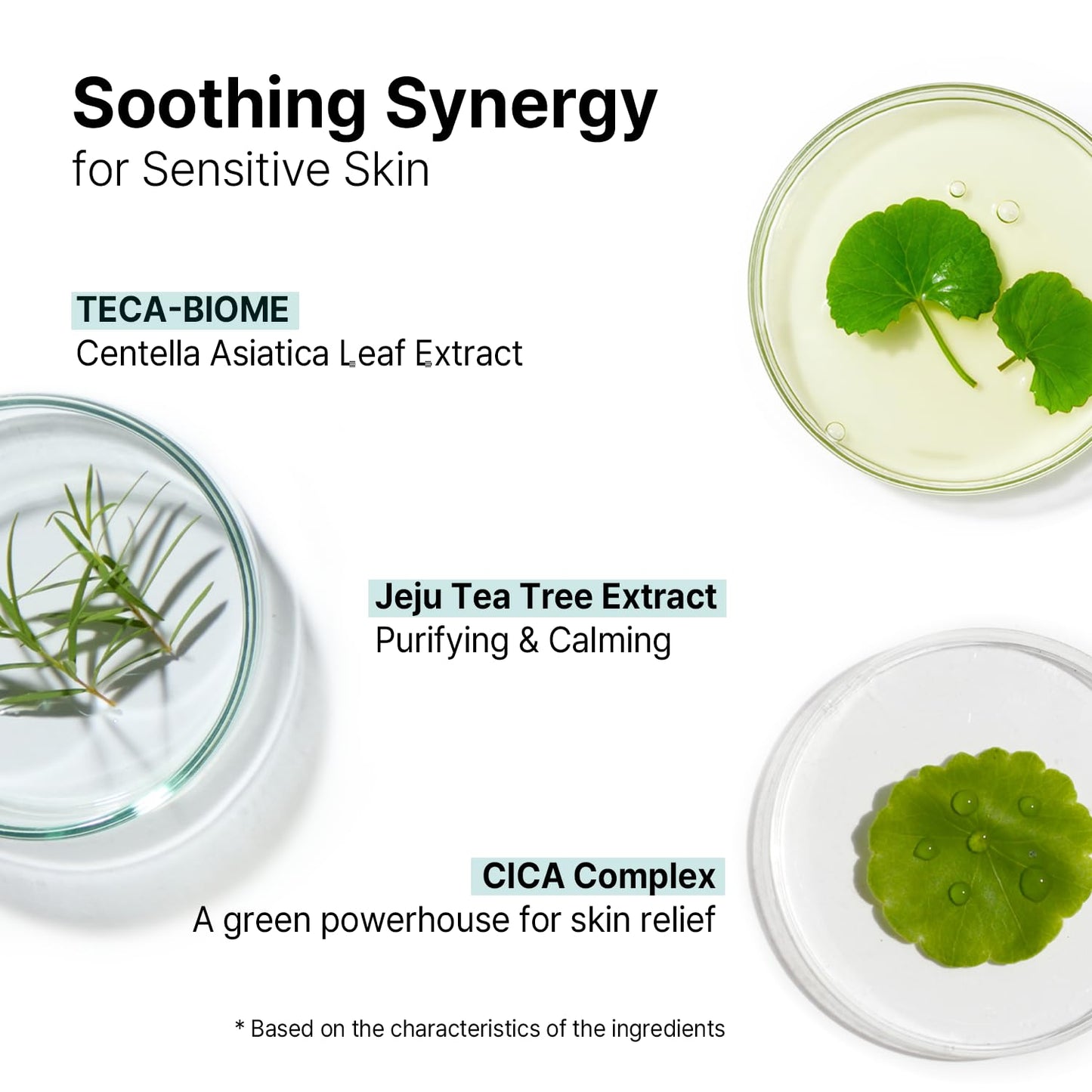 AVCA Quick Calming Cica Tea Tree Serum 100ml(3.38 fl. oz) – Niacinamide & Panthenol, Soothing for Redness and Blemish-Prone Sensitive Skin, Oil-Balancing K-Beauty