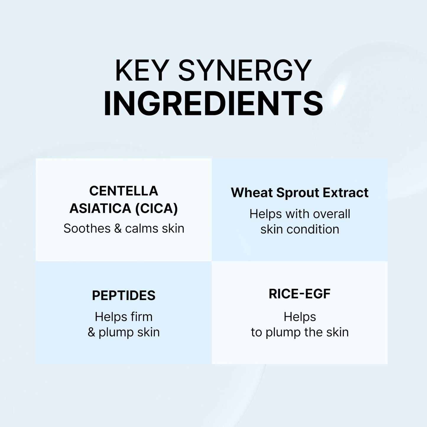 Siore Daily Balance Essence Toner | Daily Soothing Toner with Centella and Wheat Sprout Extract, RICE-EGF and Peptides | Korean Pharmacy Anti-Aging Skin Care
