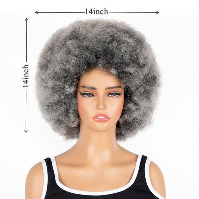 FYIMUYI Afro Wig - Soft 70s Afro Wig For Women Soft grey Afro Wigs Large Bouncy and Soft Natural Looking Full Wigs for Daily Party Cosplay Costume Halloweeen Afro Wig For Daily Party Use ﻿