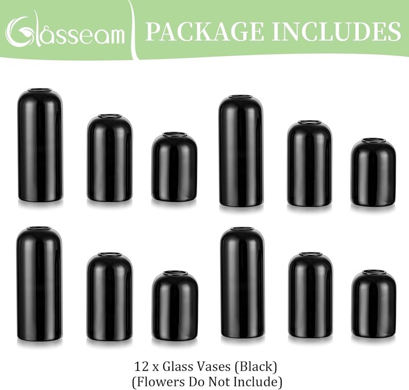 Black Glass Vases Set of 12 - Unique Modern Decor for Flowers | Minimalist Bud Vases for Living Room