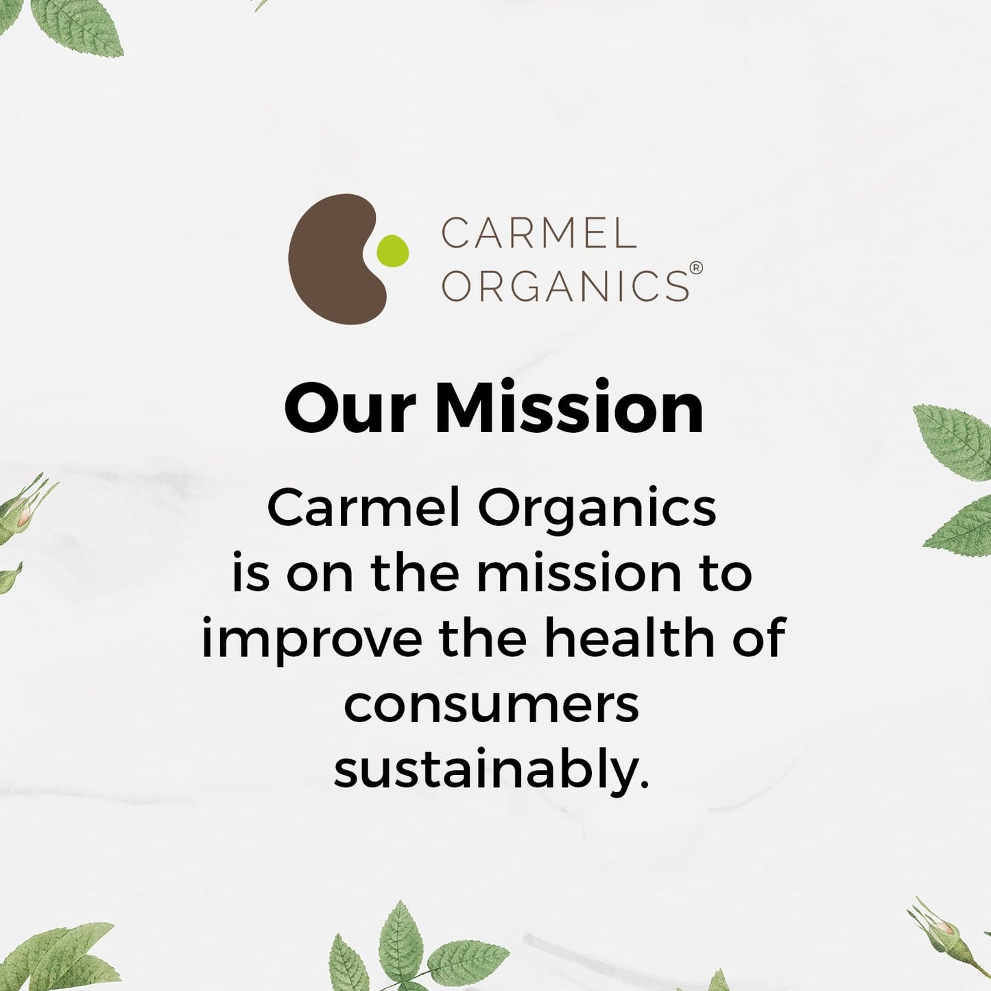 Carmel Organics Orange Peel Powder 8 Ounce