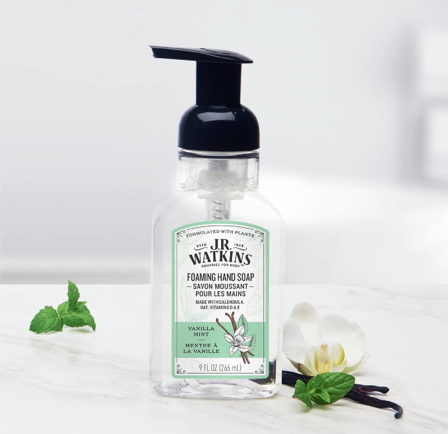 J.R. Watkins Foaming Hand Soap Pump with Dispenser, Moisturizing Hand Soap Foam, Alcohol-Free and Cruelty-Free, Use for Kitchen or Bathroom, Menthe a la Vanille/Vanilla Mint, 9 fl oz, 3 Pack