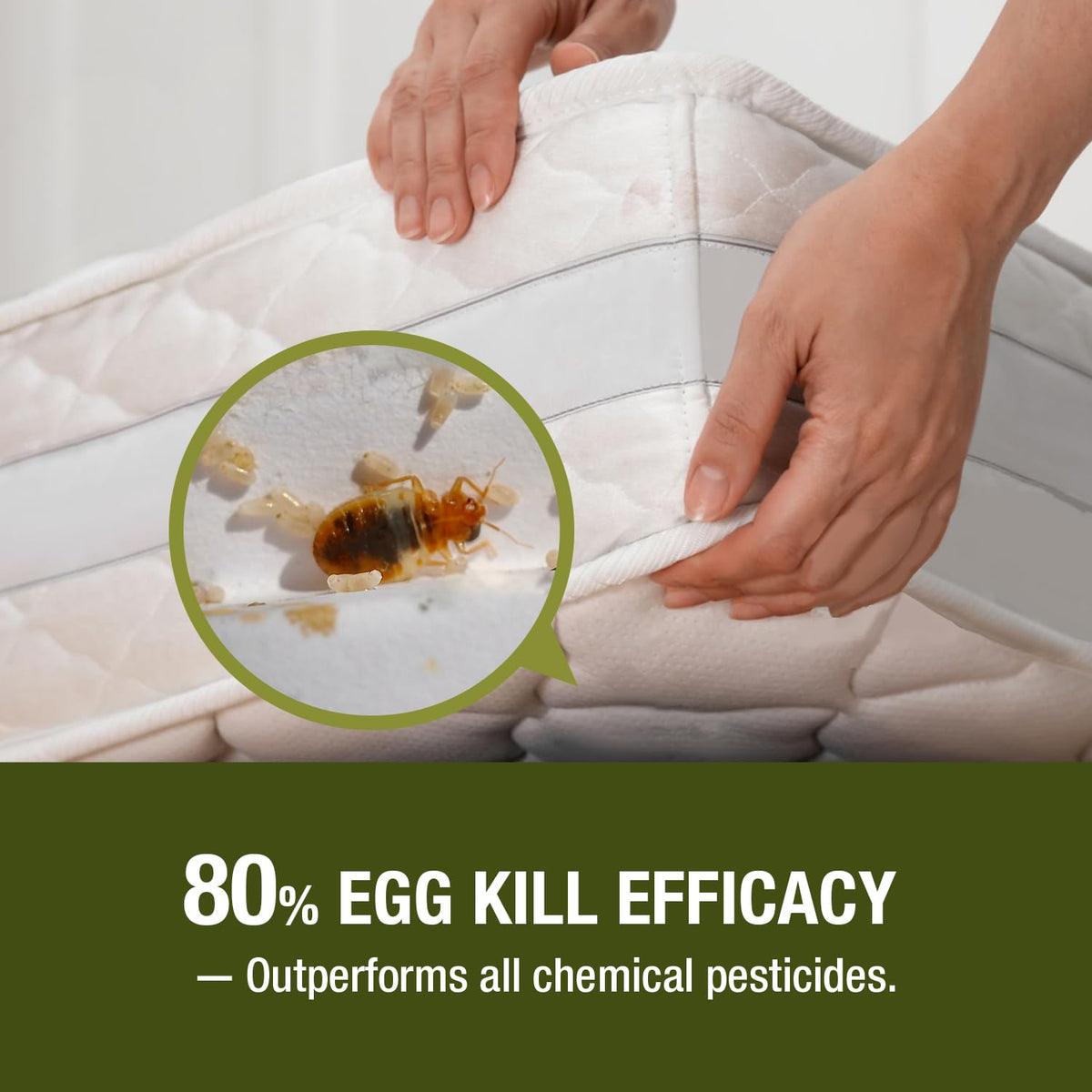 Bed Bug Killer 3 oz EcoVenger by EcoRaider,Travel Size,100% Kill Efficacy, Bedbugs & Mites, Eggs & The Resistant, USDA BIO-Certified, Plant Extract Based & Non-Toxic, Child & Pet Safe