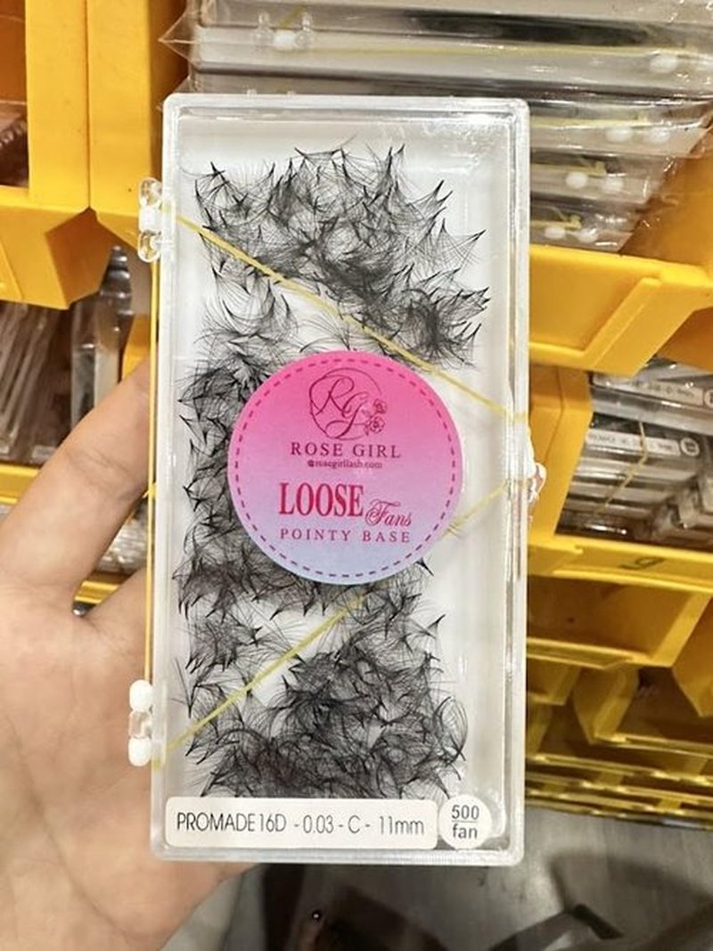ROSE GIRL Loose Promade Fans - Natural Look Handmade Volume Eyelashes From 3D To 16D - C CC D DD Curl - False Lashes Extensions - Thickness 0.03~0.1 mm - 8~20 mm Length (16D-0.05-CC(9mm))