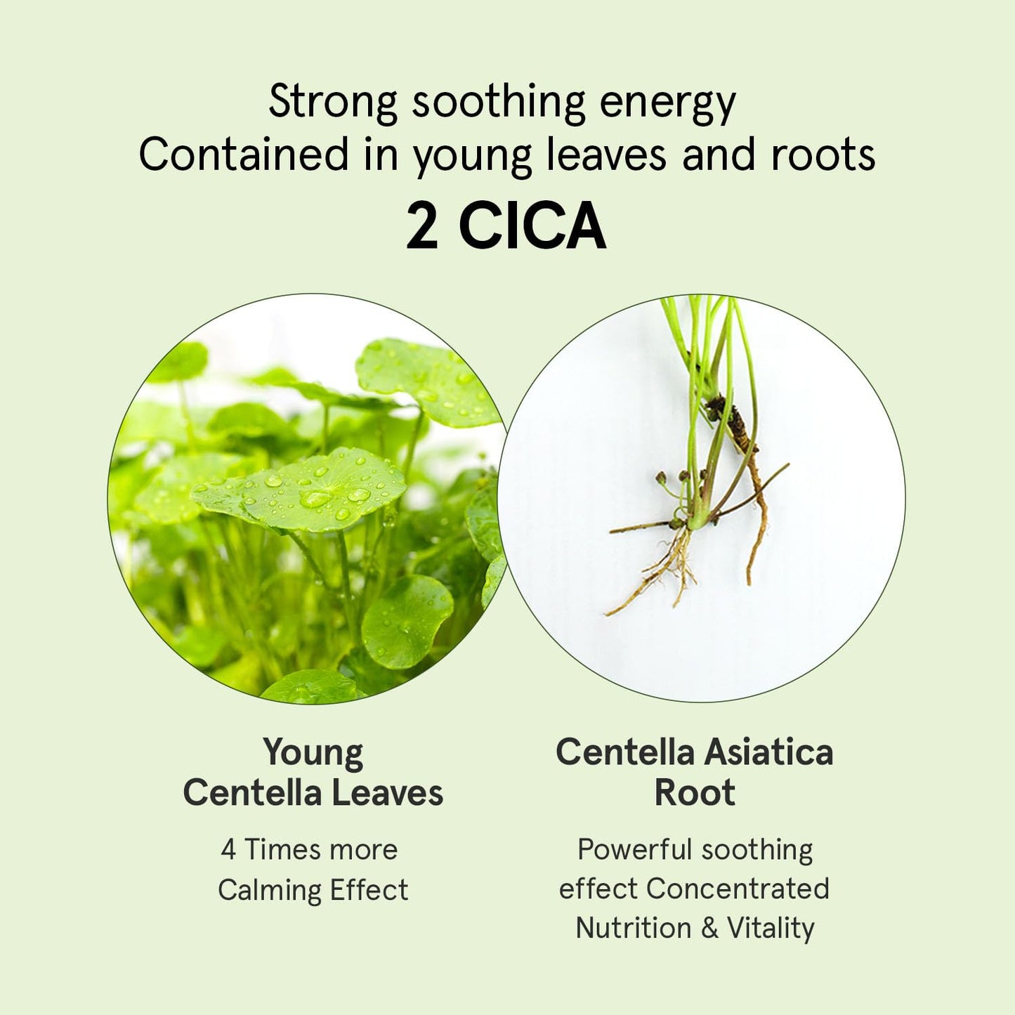 ONE THING CICA B5 calming Serum 1.69 fl.oz / 50ml | Korean Skincare, Panthenol Soothing, Hydration Boost for Sensitive Skin