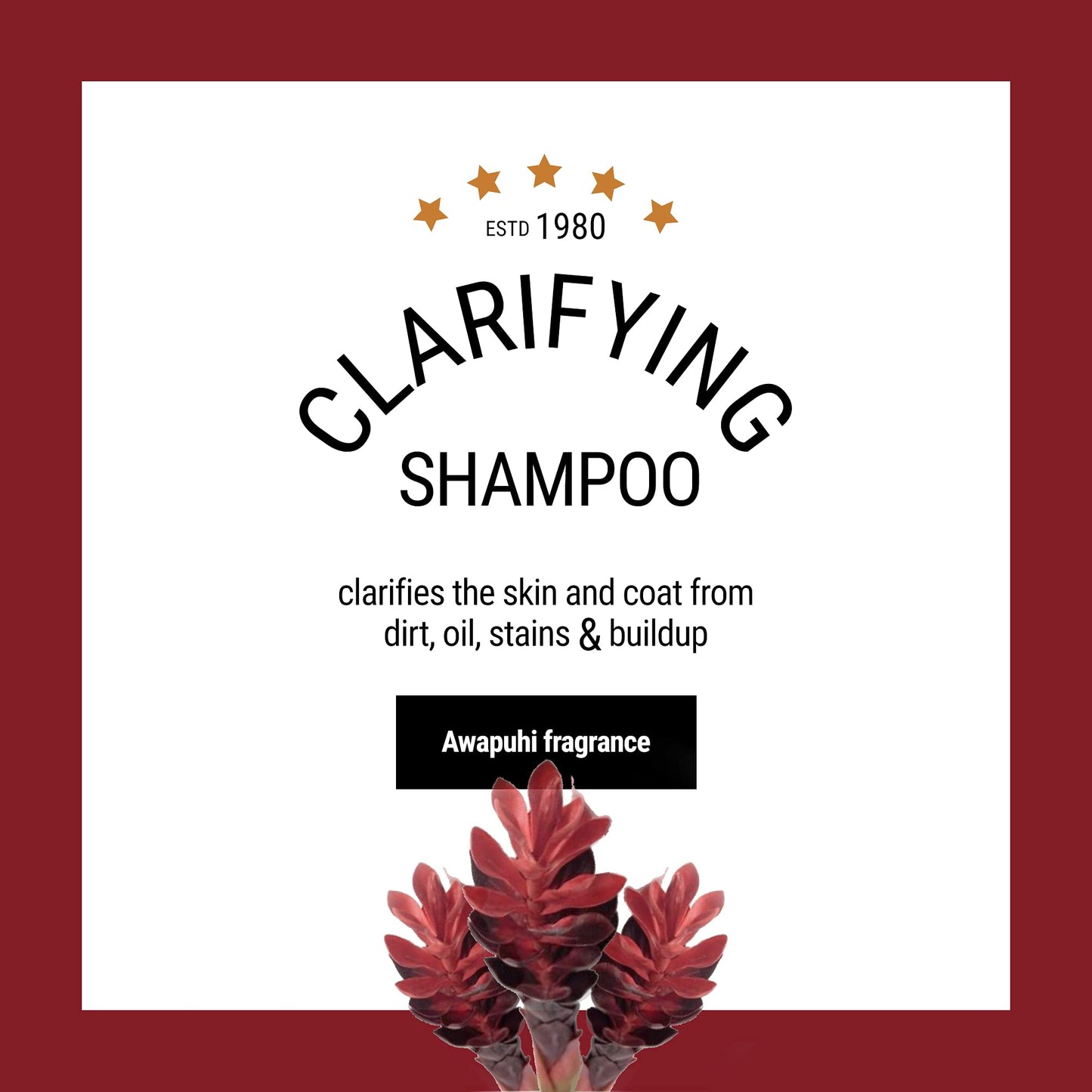 The Coat Handler Clarifying Dog Shampoo, 1 Gallon | All Natural Ingredients, Removes Stains and Dirt, Brightens All Coat Colors, Professional Grade Grooming Shampoo, Soap and Cruelty Free