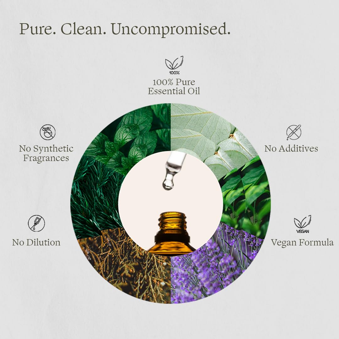 Pure Sauna Eucalyptus Essential Oil - 100% Pure Eucalyptus Globulus for Diffuser, Steam Shower & Sauna - Invigorating Spa Scent (1 fl oz / 30 ml)