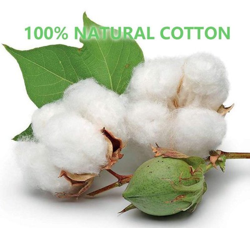Cotton Swabs with Wooden Sticks/Biodegradable Cotton Buds 2000pcs