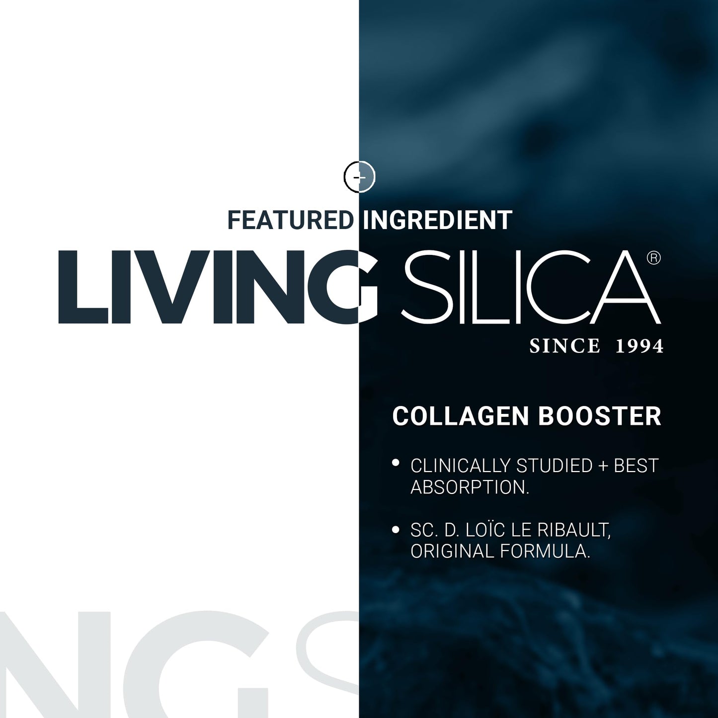 Living Silica ORGONO Silica Drops – Travel Size | Vegan & Mineral-Based Formula | 100mL