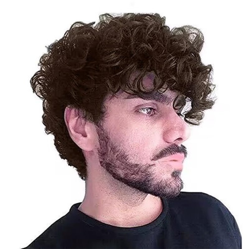 Tseses Curly Brown Short Wigs for Men Layered Fluffy Synthetic Fiber Wigs for Daily Party Mens Costume Wig