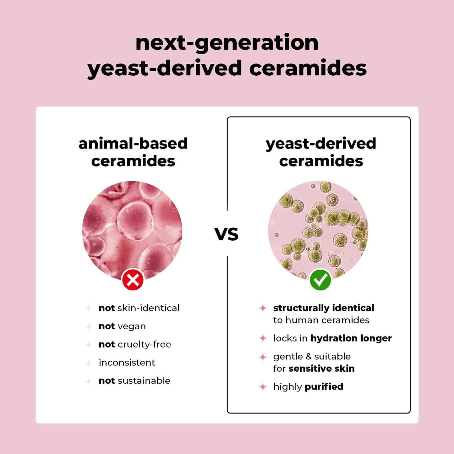 fvrts Hydrate Me! Ceramide Serum with Hyaluronic Acid for Barrier Support & Makeup-Ready Skin, Deep Hydration, Lightweight Non-Greasy Formula, Vegan Korean Skincare, Su Boon Jo Serum