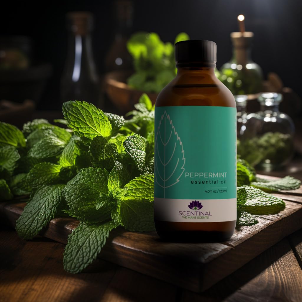 Scentinal Premium Essential Oil - 100% Pure, Natural & Authentic - Extra Large 4oz Bottle (120ml) with Eyedropper - Refreshing Aromatherapy Experience (4 oz / 120ml, Variety Pack)