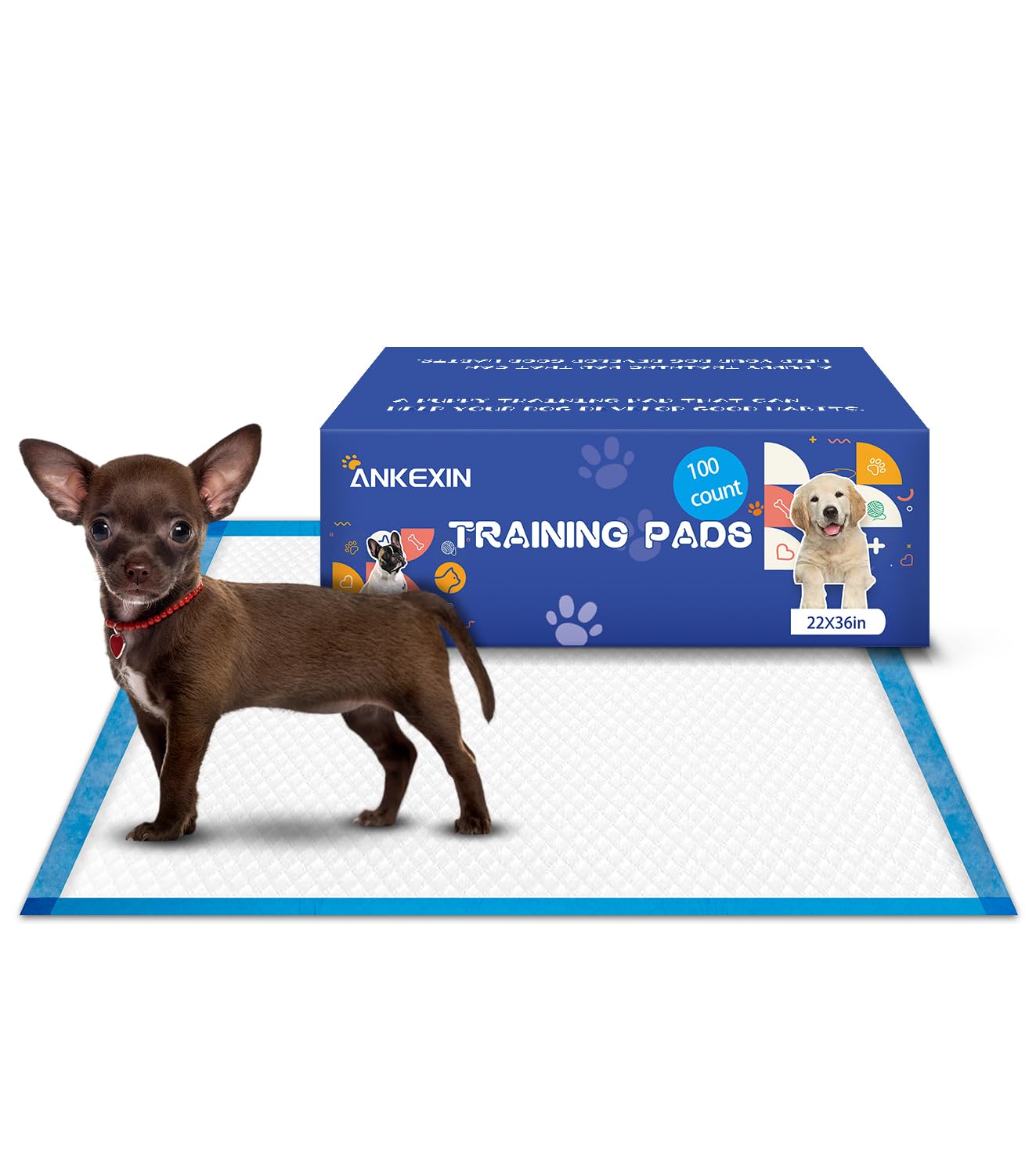 ANKEXIN Large Puppy Pee Pads 22x36 Inch 100-Pack | Extra Absorbent Potty Training Pads for Dogs | Leakproof Quick-Dry & Odor Blocking Pet Housebreaking Supplies