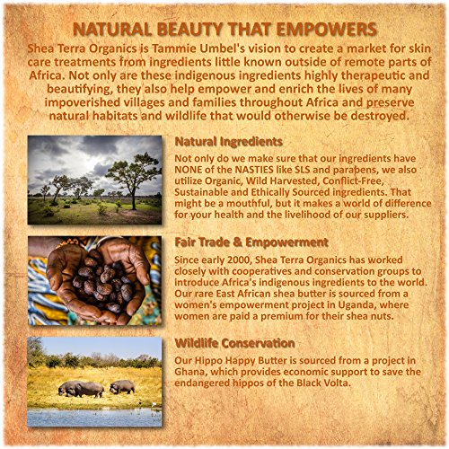 Shea Terra Argan and Rose Complex Serum of Youth | Nutrient-Rich, All Natural & Organic Oil with Age-Defying Essential Fatty Acids, Natural Plan Squalene and Vitamins for Youthful Looking Skin – 2 oz