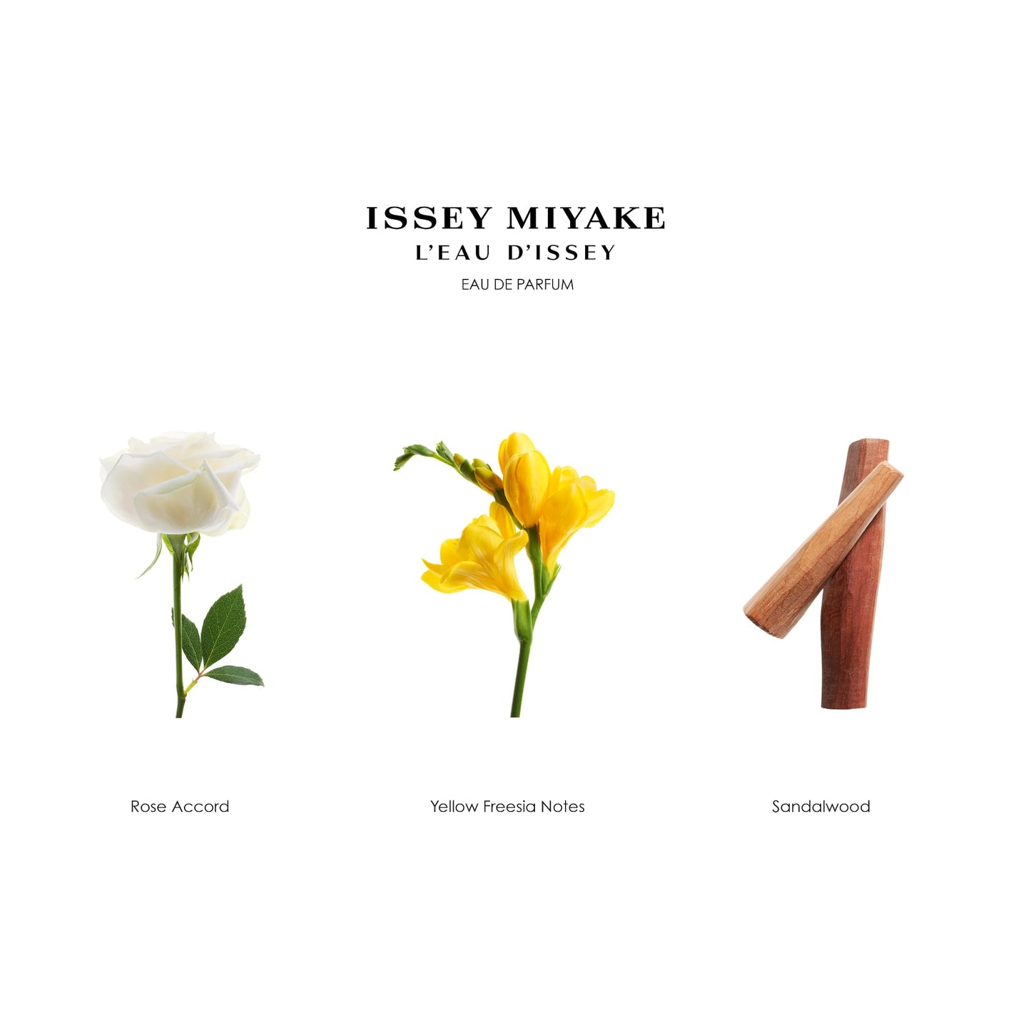 Issey Miyake L'Eau d'Issey Body Lotion - Women’s Moisturizing & Hydrating Lotion - Floral & Aquatic, Inspired by the Purity of Water - Notes of White Flowers, Rose & Precious Woods Accord - 6.7 oz