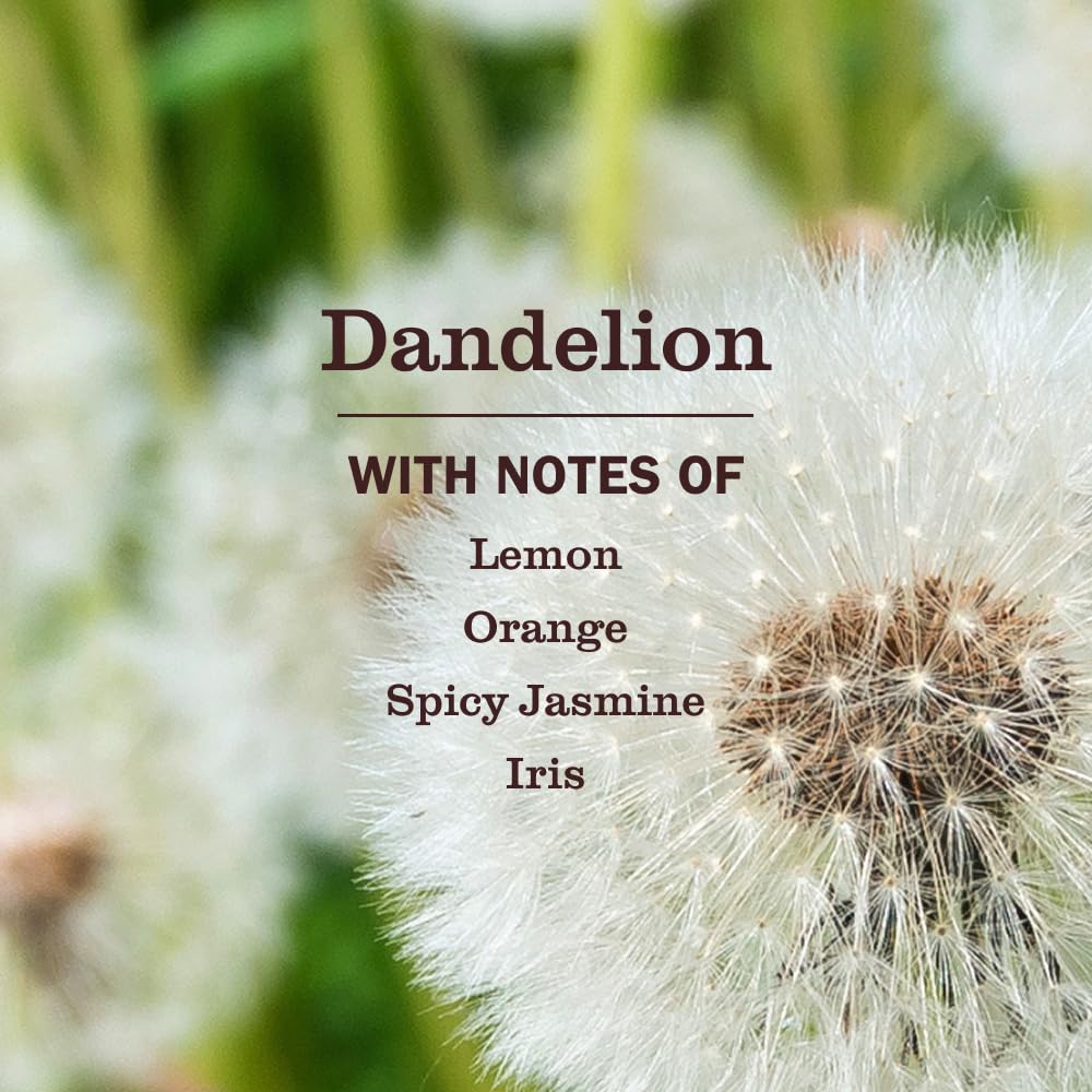 Mrs. MEYER'S CLEAN DAY Hand Wash Variation (Dandelion)