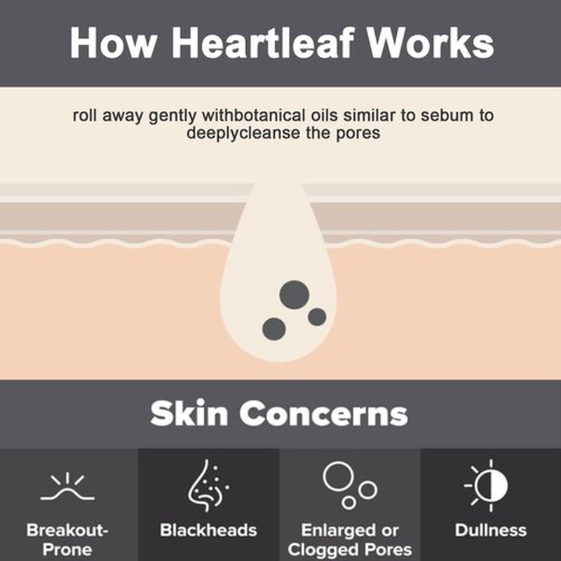 Heartleaf Pore Control Cleansing Oil, Oil Cleanser for Face, Makeup Blackhead Remover, Korean Skin Care 6.76 fl oz(200ml) (original)