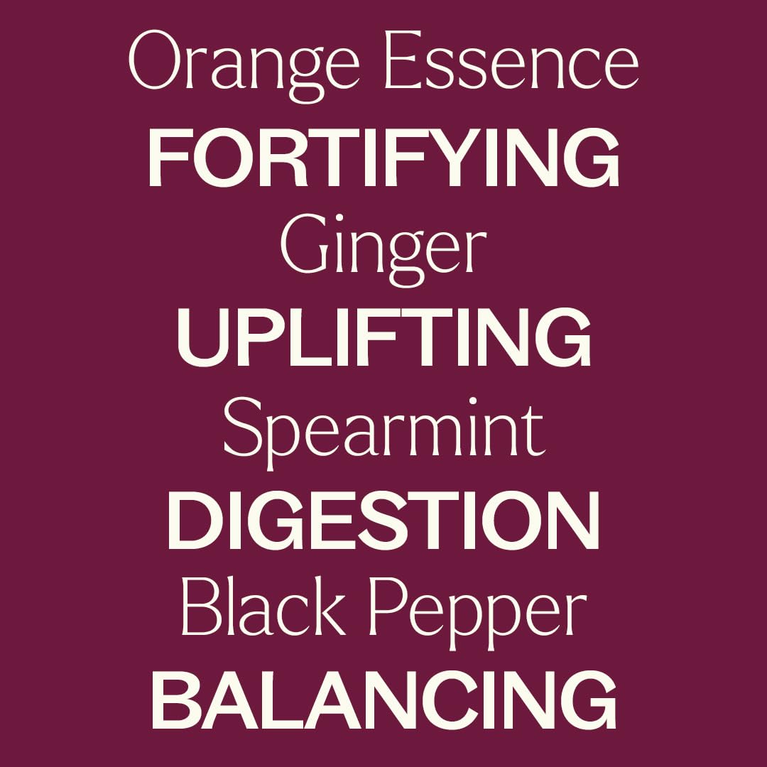 Plant Therapy Motion Sickness Essential Oil Blend Pre-Diluted Roll-On 10 mL (1/3 oz) Helps Ease Motion-Related Discomfort, Great for Road Trips & Flights, Convenient & Ready to Use