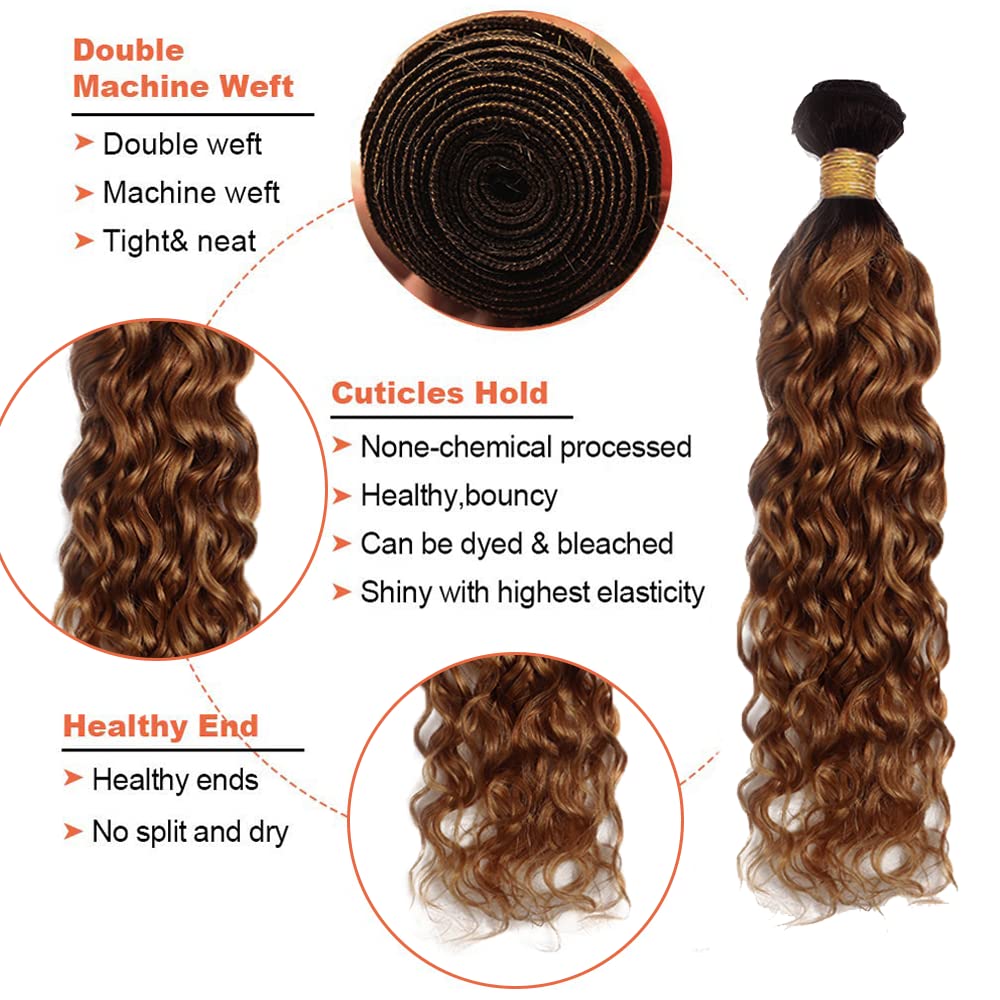 Ombre Water Wave Bundles 1b/30 Bundles Human Hair Weave 12 14 16 Inch 1B/30 Water Wave Bundle Human Hair 8A Brazilian Virgin 2 Tone Black and Brown Water Wave Bundle