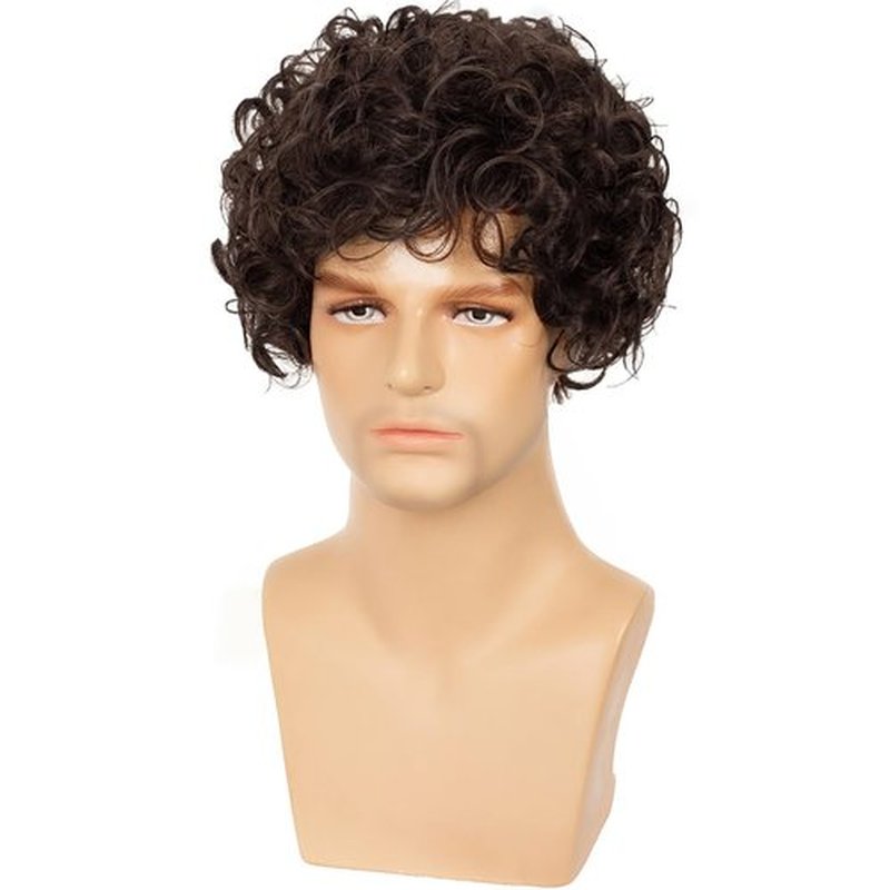Dsimeig Mens Brown Curly Wig Short Fluffy Rocker Wigs Synthetic Costume Halloween Cosplay Hair Wigs for Male Guys