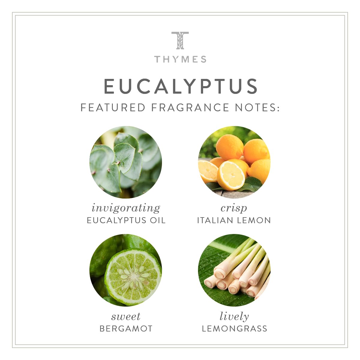 Body Scrub, Eucalyptus