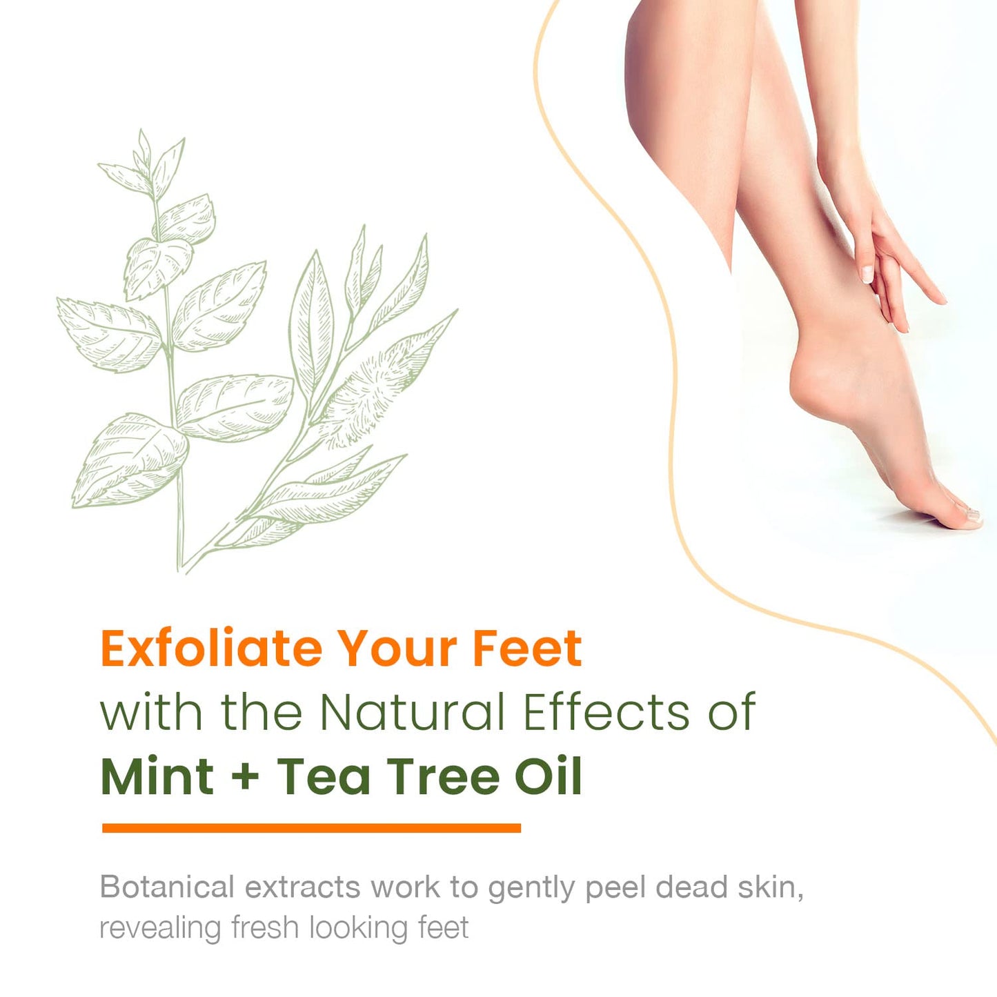 Natural Chemist Mint & Tea Tree Foot Masks Moisturizing Socks - Soften Dry Cracked Feet, Removes Dead Skin Cells - Dermatologist Tested, Cruelty Free Korean Skin Care For All Skin Types - 3 Pairs