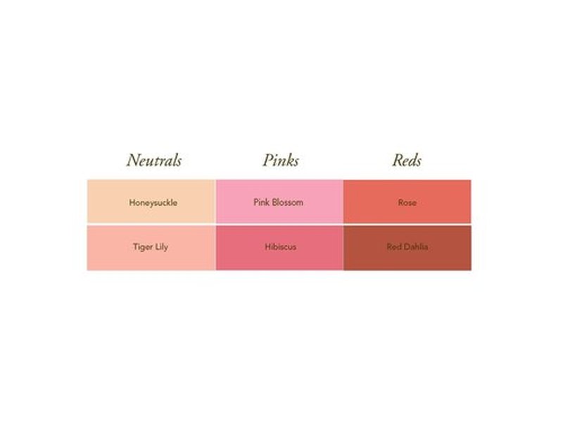 Burt's Bees 100% Natural Tinted Lip Balm, Pink Blossom with Shea Butter & Botanical Waxes – 2 Tubes