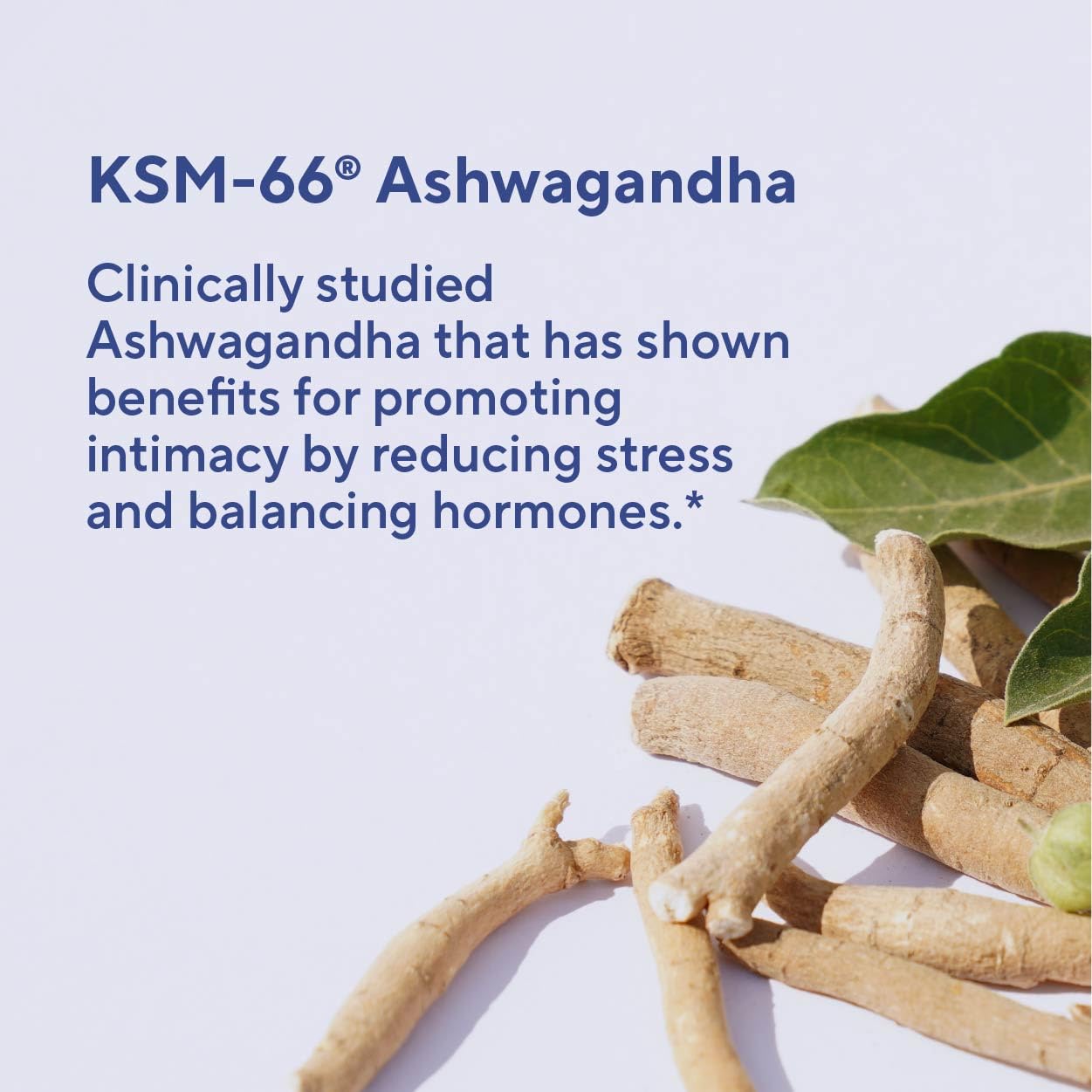 Premium Vaginal Moisture Support Capsules - Vaginal Moisture & Mood, Sexual Function, & Relaxation, Vaginal Dryness, Feminine Wellness & Intimacy, KSM 66 Ashwagandha, Slippery Elm & Maca - 60 Capsules