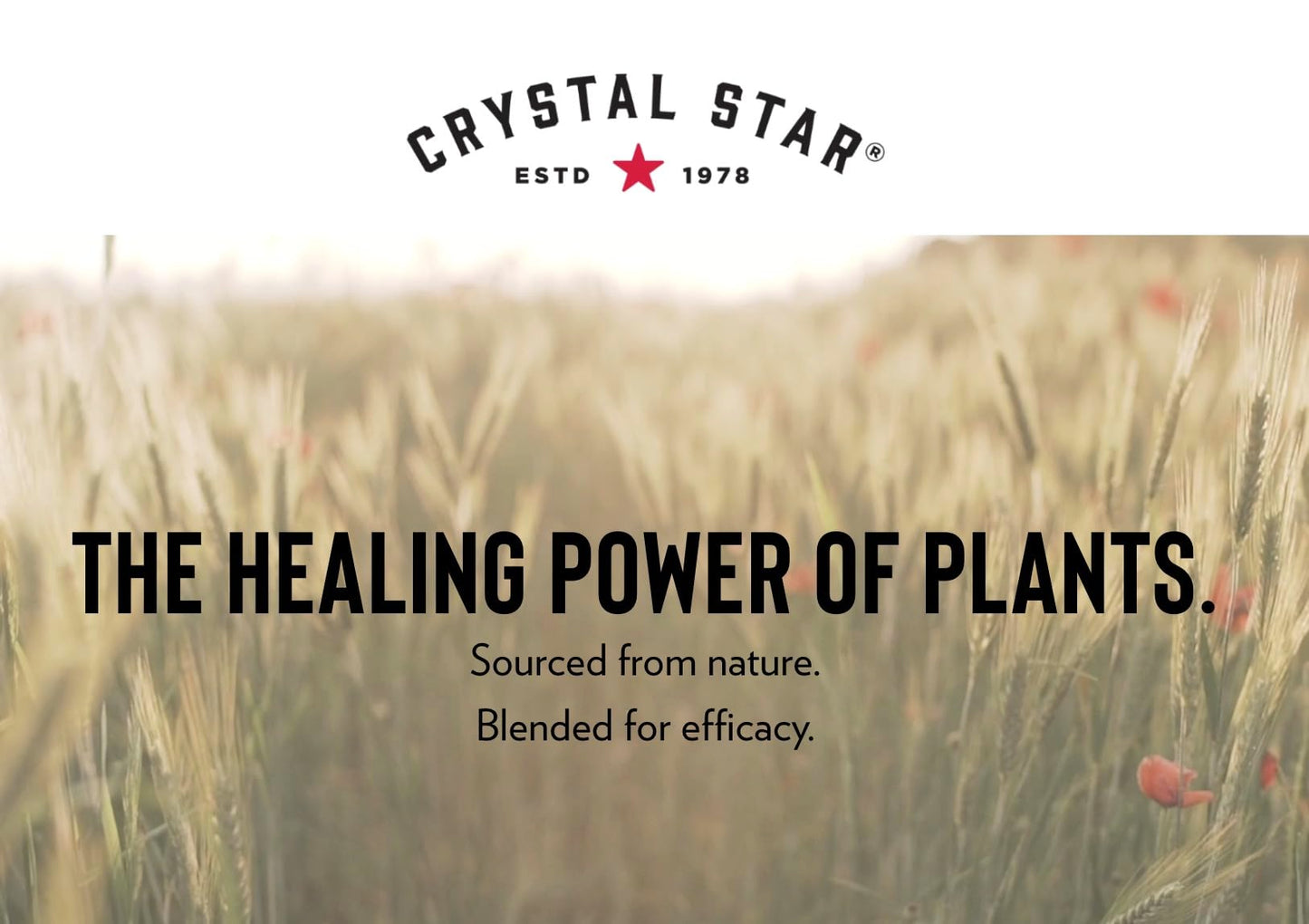 Crystal Star Fibro Defense, 150 Capsules - 17 Whole-Herb Blend - Natural Herbal Supplement Capsles for Women - Vegetarian, Non GMO