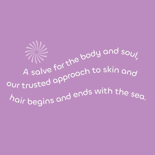 Seaweed Bath Co. Hydrate Body Cream, Lavender Scent, 6 Ounce, Nourishing Hand & Body Lotion Moisturizer for Dry Skin, with Sustainably Harvested Seaweed, Kukui Oil, Hyaluronic Acid, Shea Butter