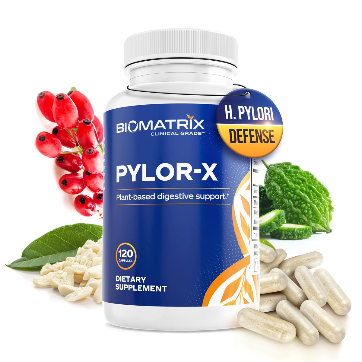 BioMatrix H Pylori Supplement, Mastic Gum, Berberine, Zinc Carnosine & Bismuth Salts, Probiotic Alternative, Gut Formula, 120 Capsules, 30-60 Day Supply