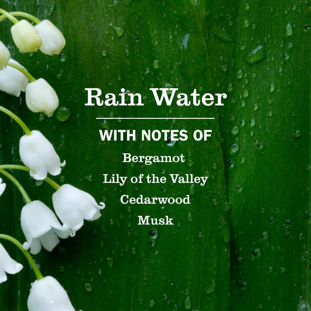MRS. MEYER'S CLEAN DAY Room Spray - Rain Water Scent, 8 Fl Oz Bottle | 3 Pack