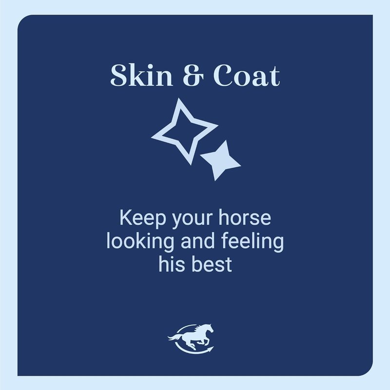CocoSoya Oil for Horses - Nourishing Skin & Coat Care | Soybean & Coconut Oil Blend | 1 Gallon